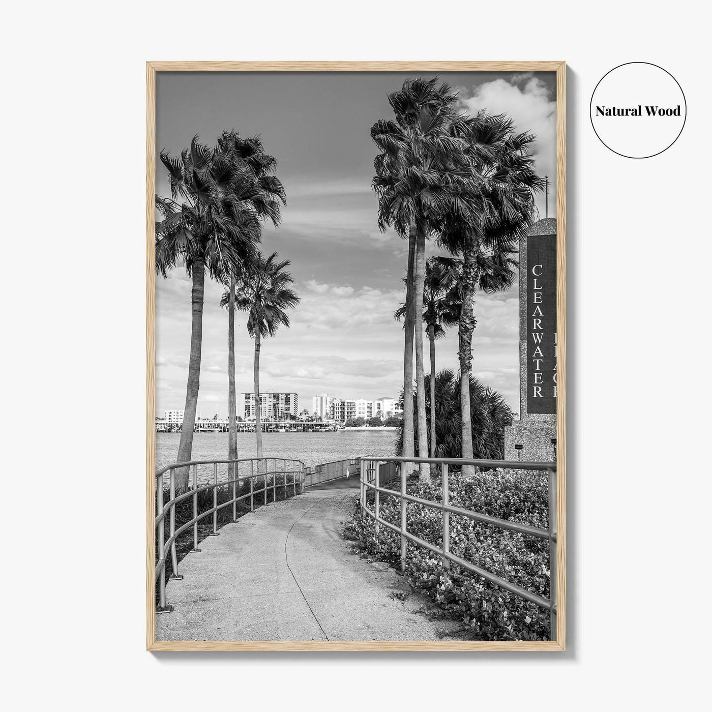 Clearwater Beach Black and White Fine Art Photo Print, Florida Palm Trees, USA Poster