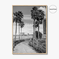 Clearwater Beach Black and White Fine Art Photo Print, Florida Palm Trees, USA Poster