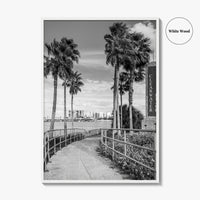Clearwater Beach Black and White Fine Art Photo Print, Florida Palm Trees, USA Poster