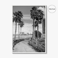 Clearwater Beach Black and White Fine Art Photo Print, Florida Palm Trees, USA Poster