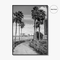 Clearwater Beach Black and White Fine Art Photo Print, Florida Palm Trees, USA Poster