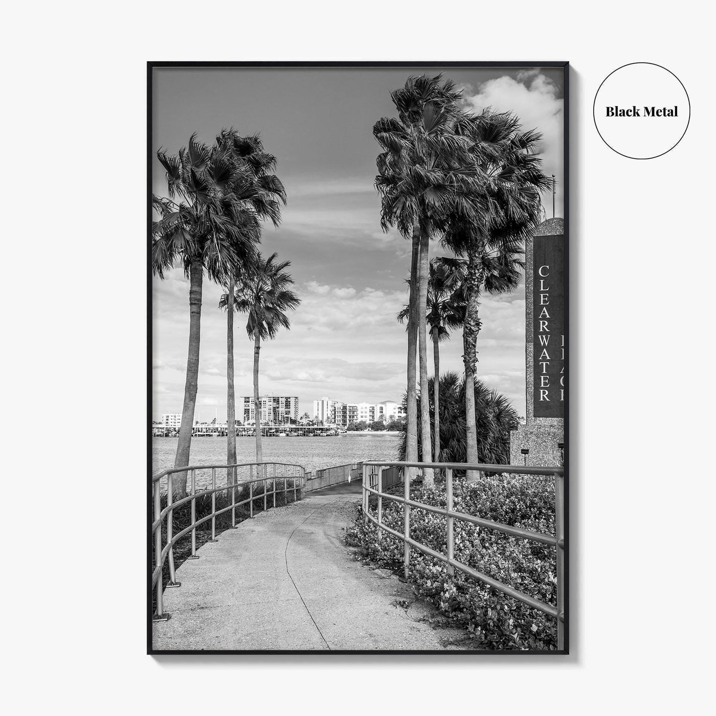Clearwater Beach Black and White Fine Art Photo Print, Florida Palm Trees, USA Poster