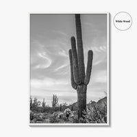 Arizona Black and White Fine Art Photo Print, Sonoran Desert Saguaro Cactus Tucson Poster