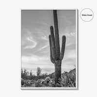 Arizona Black and White Fine Art Photo Print, Sonoran Desert Saguaro Cactus Tucson Poster