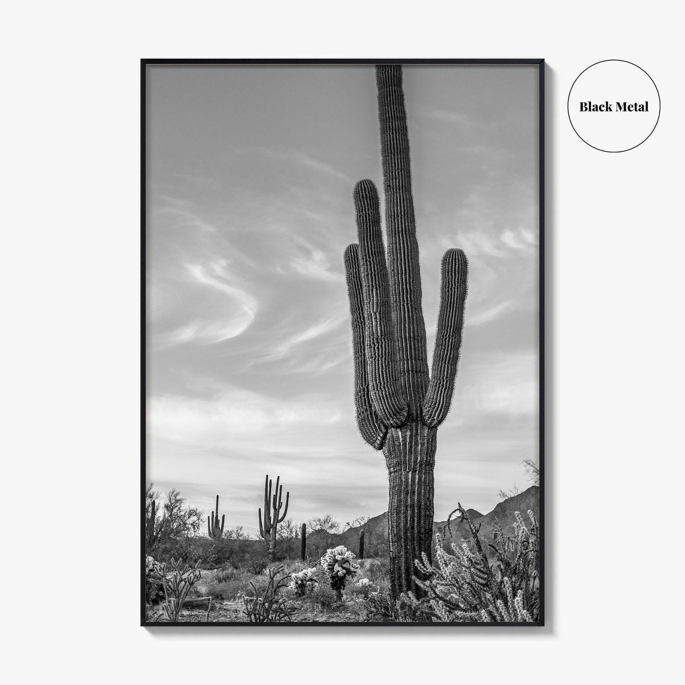 Arizona Black and White Fine Art Photo Print, Sonoran Desert Saguaro Cactus Tucson Poster