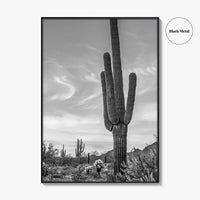 Arizona Black and White Fine Art Photo Print, Sonoran Desert Saguaro Cactus Tucson Poster