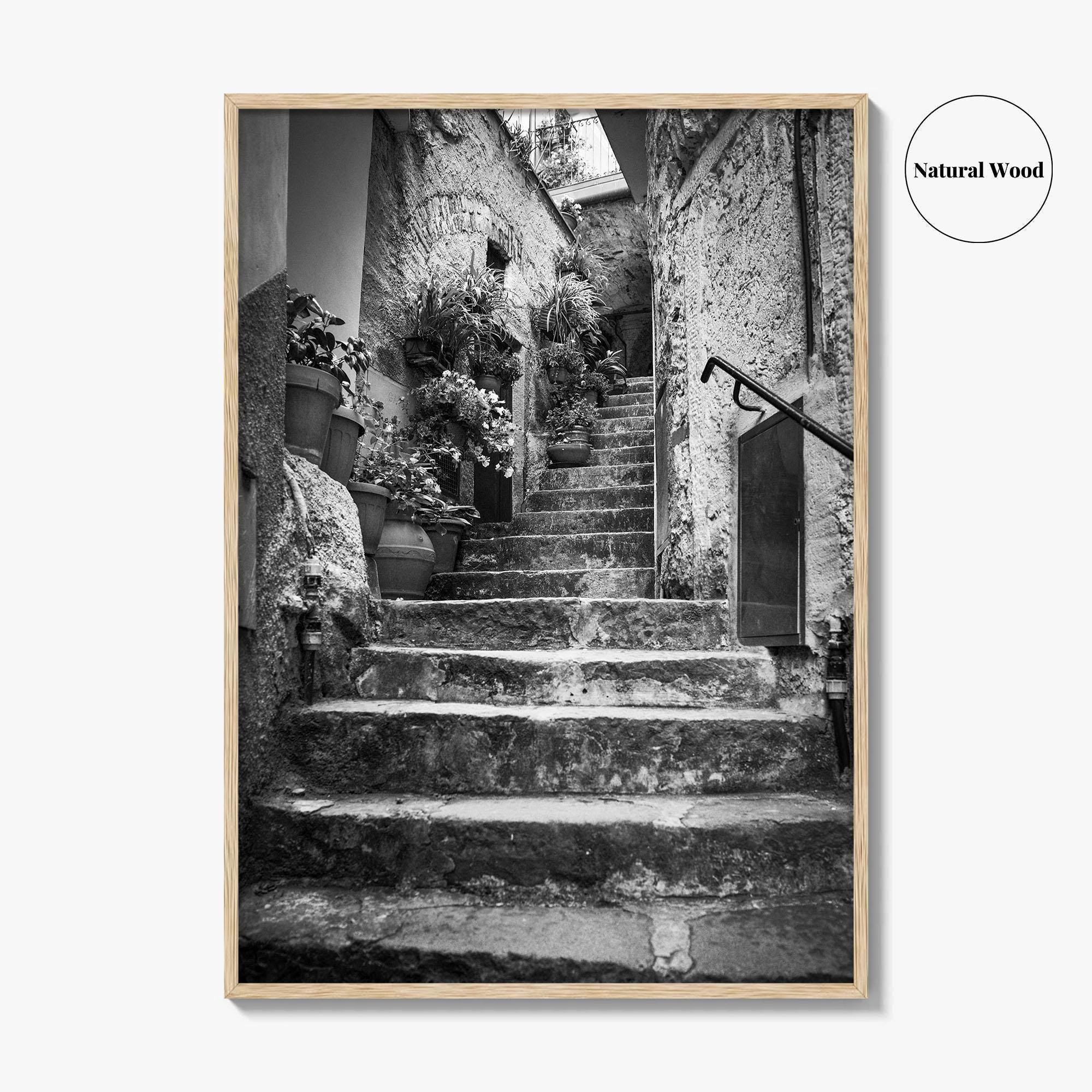 Cinque Terre Black and White Fine Art Photo Print, Riomaggiore Italy Poster