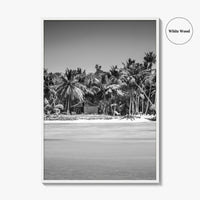 Punta Cana Black and White Fine Art Photo Print, Dominican Republic Poster