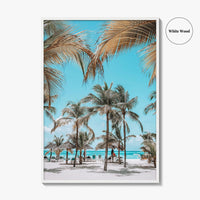 Palm Beach Aruba Fine Art Photo Print, Caribbean, Antilles, Wall Decor Poster