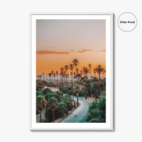 Elysian Park Fine Art Photo Print, Los Angeles, LA, California, USA, Palm Trees