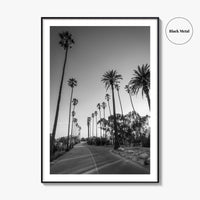 Elysian Park Black and White Fine Art Photo Print, Los Angeles Palm Trees Poster