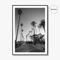Elysian Park Black and White Fine Art Photo Print, Los Angeles Palm Trees Poster