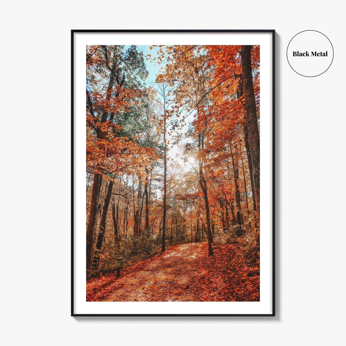 Knoxville Fine Art Photo Print, Tennessee Fall Foliage Wall Decor Poster, TN