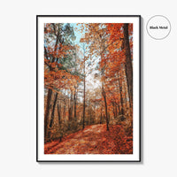 Knoxville Fine Art Photo Print, Tennessee Fall Foliage Wall Decor Poster, TN