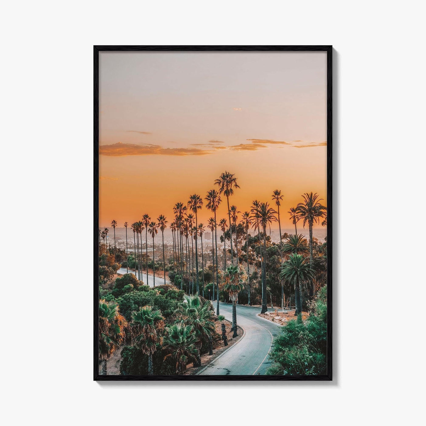 Elysian Park Fine Art Photo Print, Los Angeles, LA, California, USA, Palm Trees