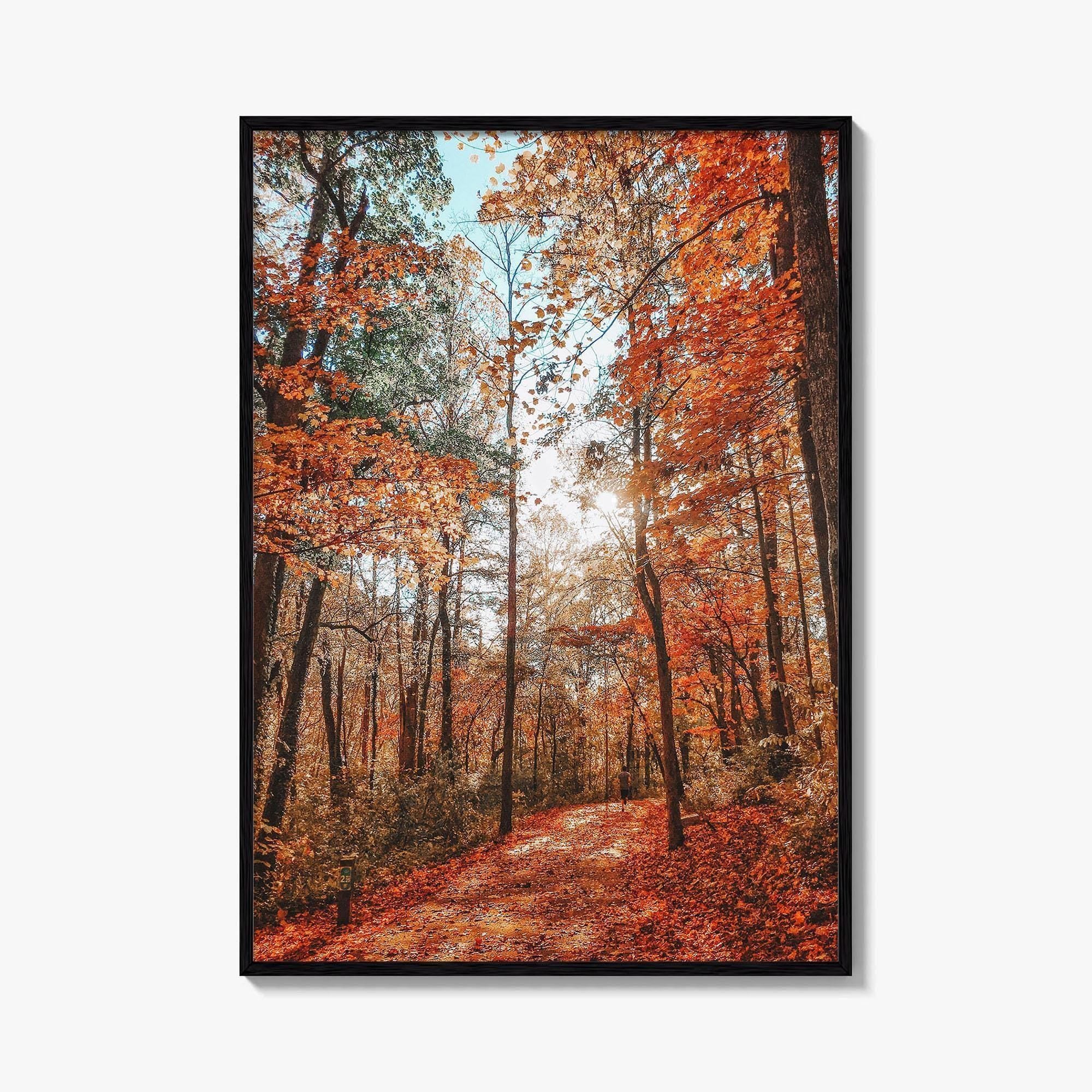 Knoxville Fine Art Photo Print, Tennessee Fall Foliage Wall Decor Poster, TN