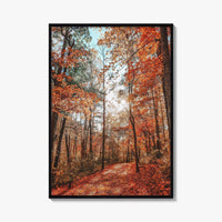 Knoxville Fine Art Photo Print, Tennessee Fall Foliage Wall Decor Poster, TN