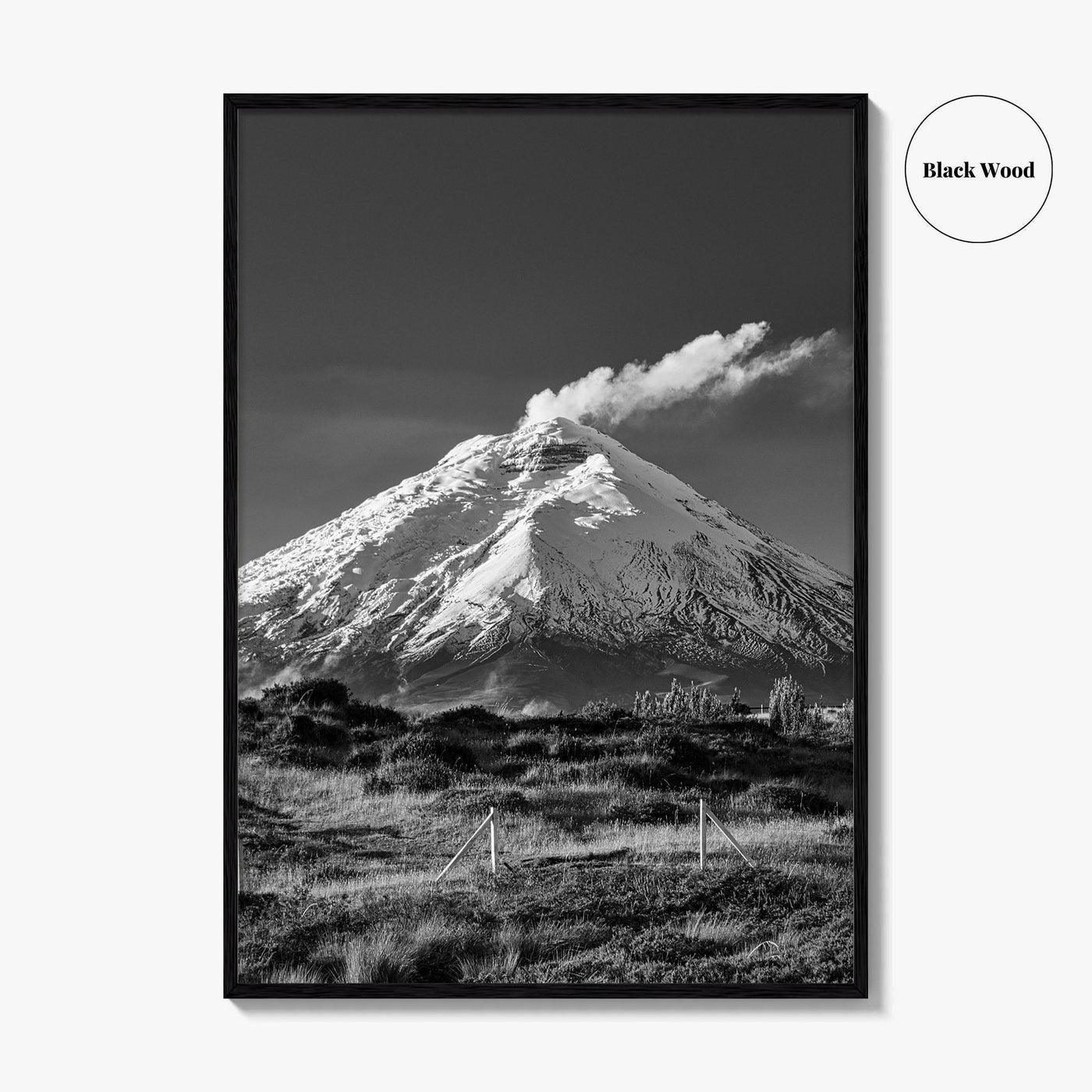 Cotopaxi Black and White Fine Art Photo Print, Volcano, Ecuador, Andes, National Park, Poster