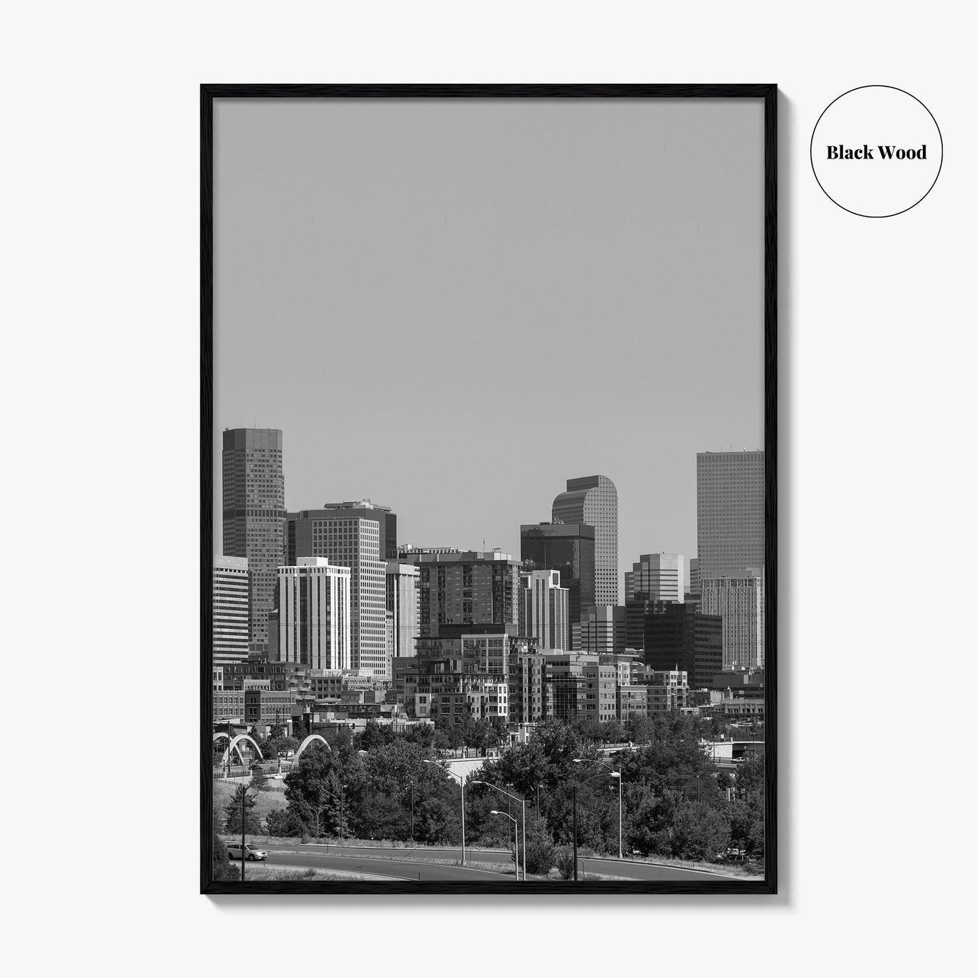 Denver Skyline Black and White Fine Art Photo Print, Panorama, Colorado Poster
