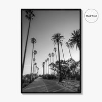 Elysian Park Black and White Fine Art Photo Print, Los Angeles Palm Trees Poster