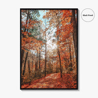 Knoxville Fine Art Photo Print, Tennessee Fall Foliage Wall Decor Poster, TN