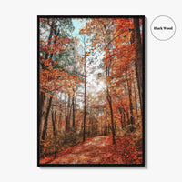 Knoxville Fine Art Photo Print, Tennessee Fall Foliage Wall Decor Poster, TN