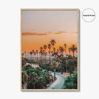 Elysian Park Fine Art Photo Print, Los Angeles, LA, California, USA, Palm Trees