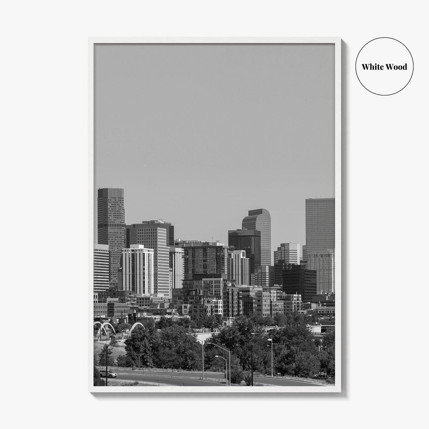 Denver Skyline Black and White Fine Art Photo Print, Panorama, Colorado Poster