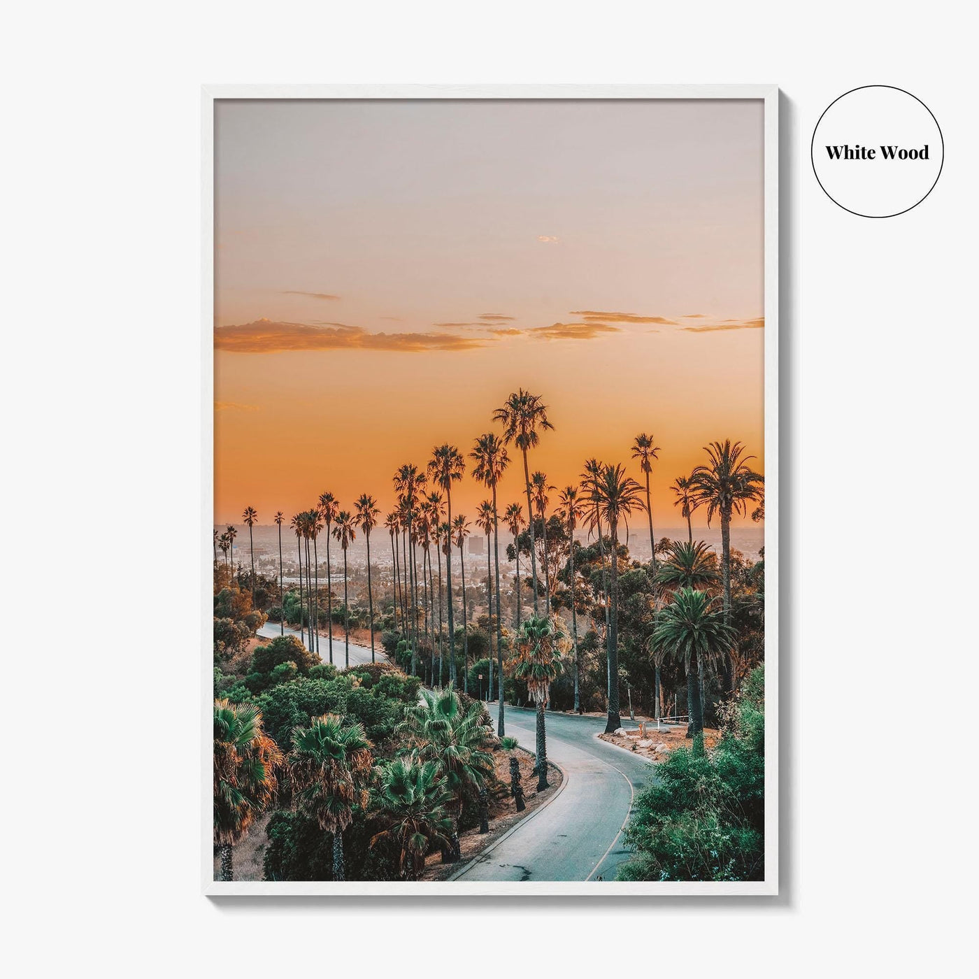 Elysian Park Fine Art Photo Print, Los Angeles, LA, California, USA, Palm Trees