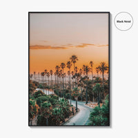 Elysian Park Fine Art Photo Print, Los Angeles, LA, California, USA, Palm Trees