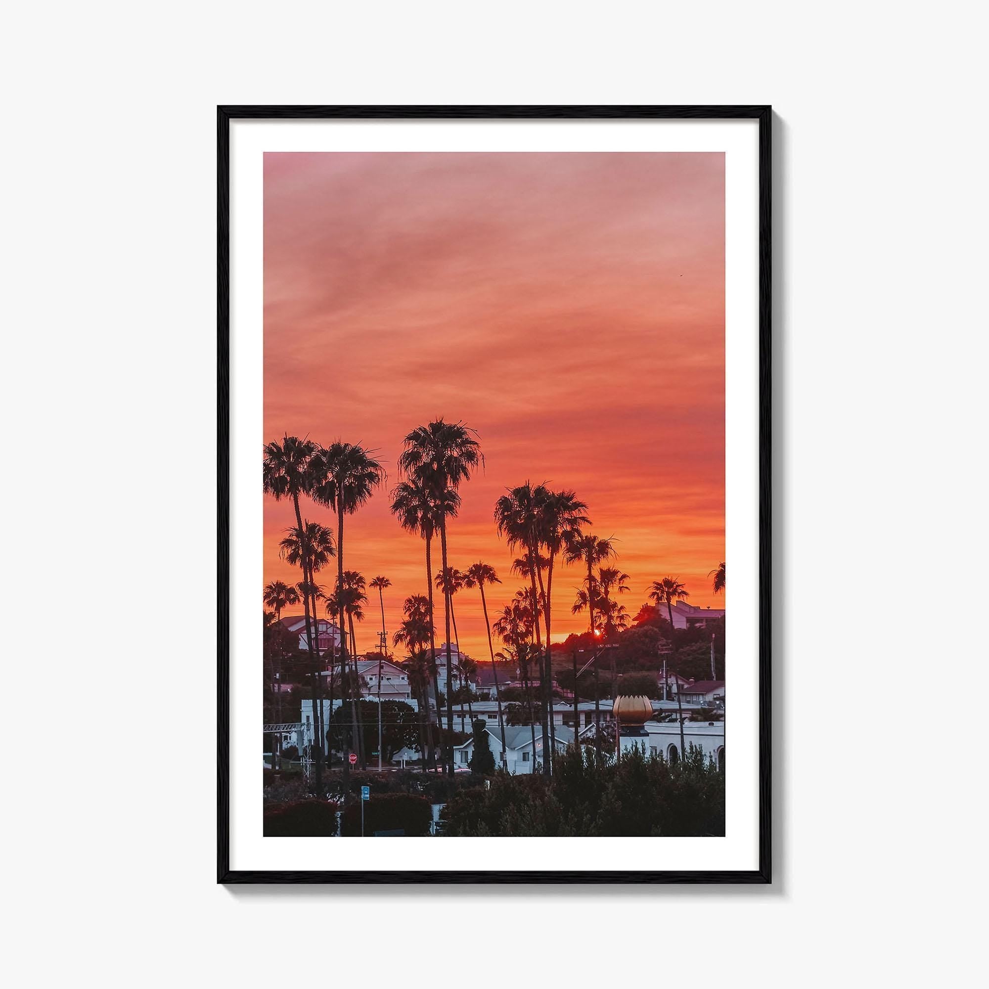 Encinitas Fine Art Photo Print, San Diego Palm Tree California Poster