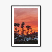 Encinitas Fine Art Photo Print, San Diego Palm Tree California Poster