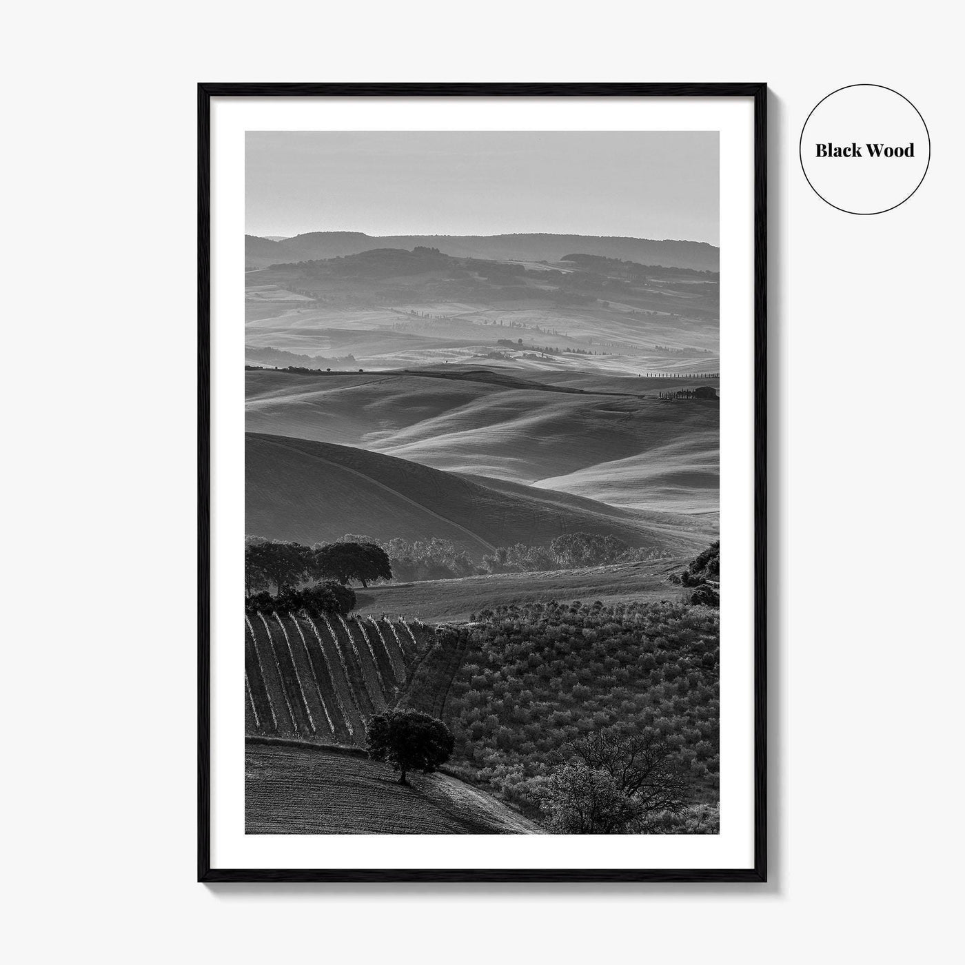 Tuscany Hills Black and White Fine Art Photo Print, Italy Landscape Wall Decor