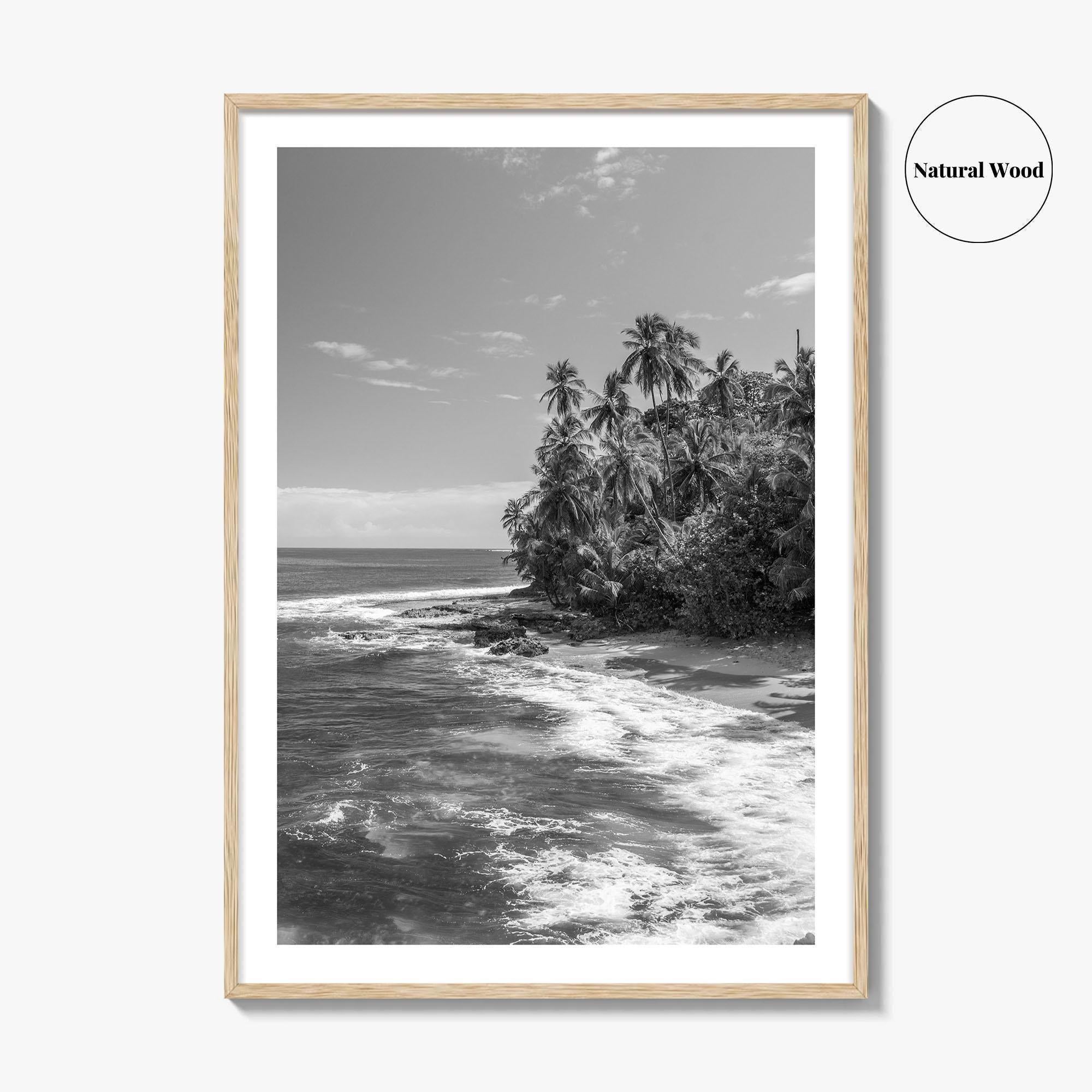 Costa Rica Black and White Fine Art Photo Print, Manzanillo Caribbean Puerto Viejo Poster