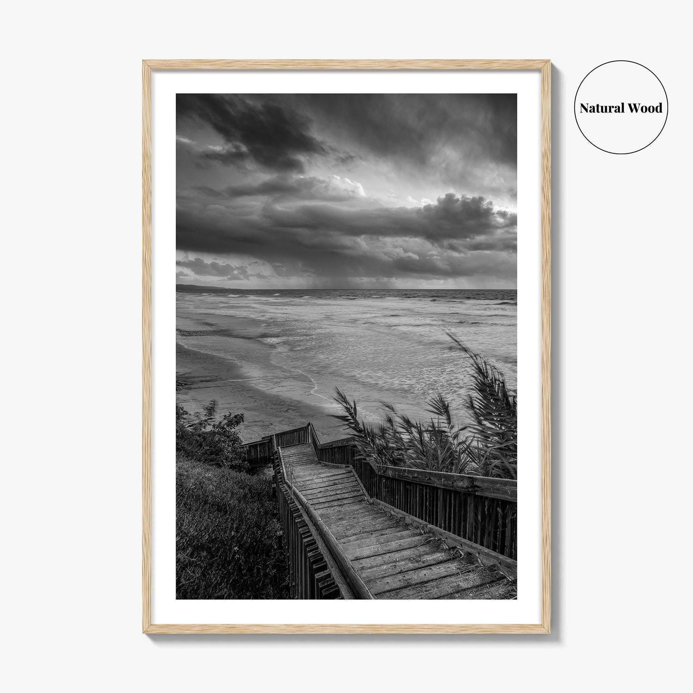 Encinitas Black and White Fine Art Photo Print, San Elijo State Beach, California Poster