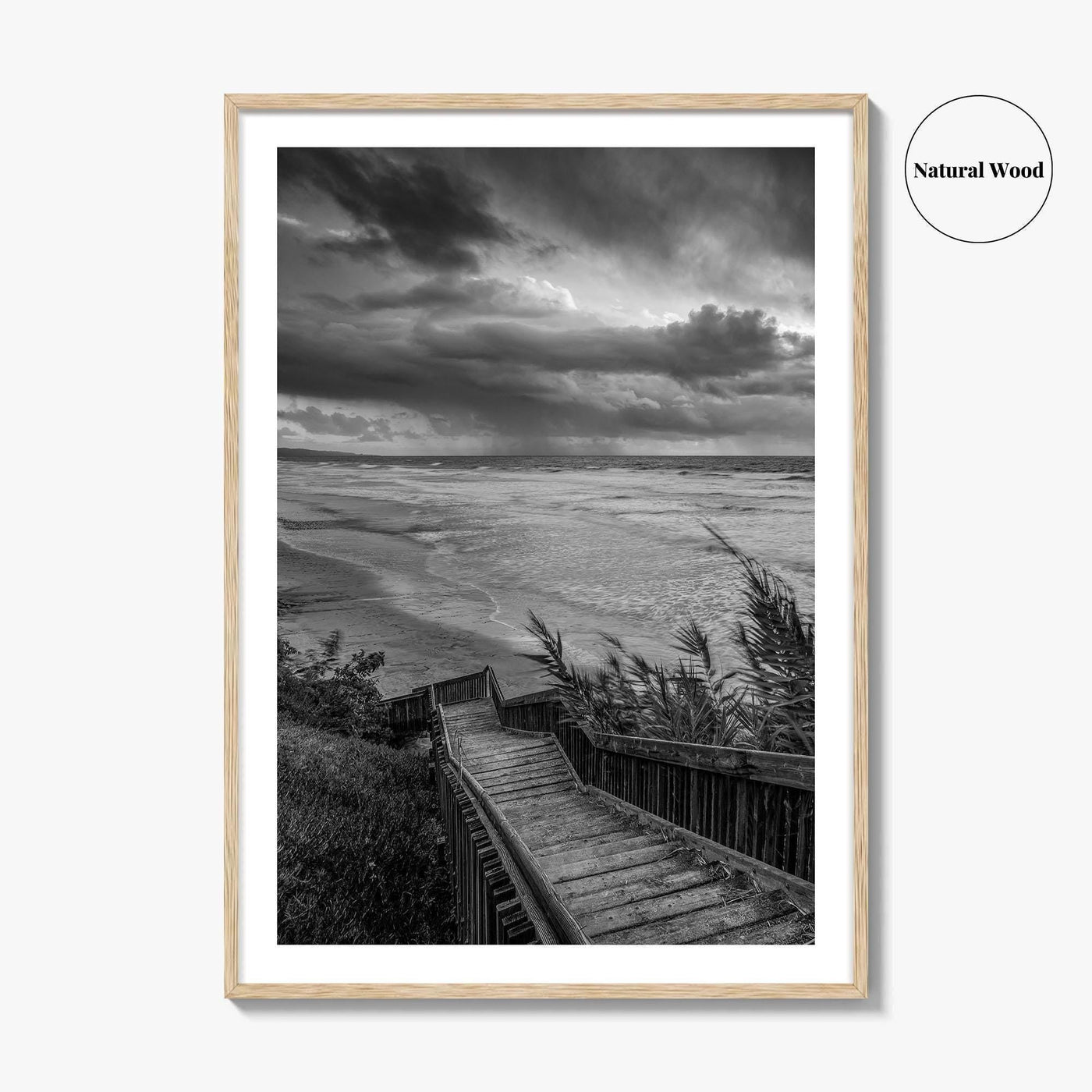 Encinitas Black and White Fine Art Photo Print, San Elijo State Beach, California Poster