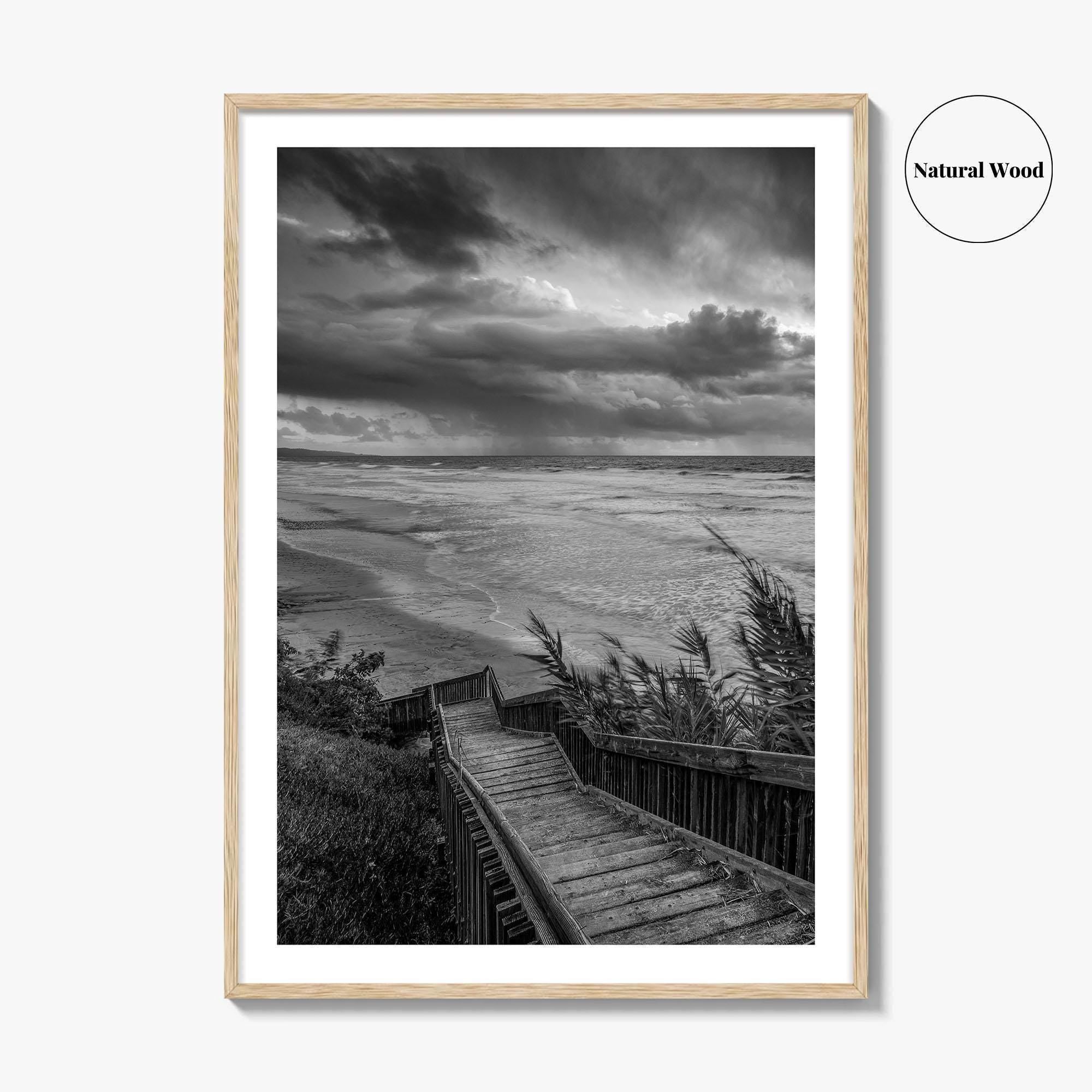 Encinitas Black and White Fine Art Photo Print, San Elijo State Beach, California Poster
