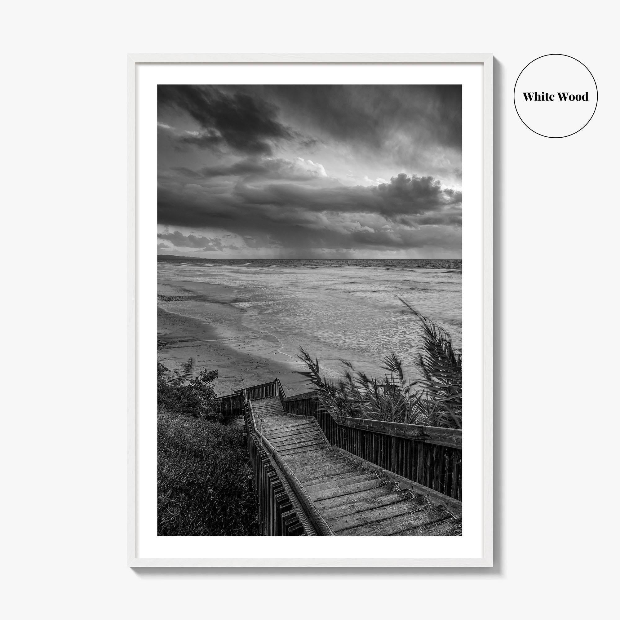 Encinitas Black and White Fine Art Photo Print, San Elijo State Beach, California Poster