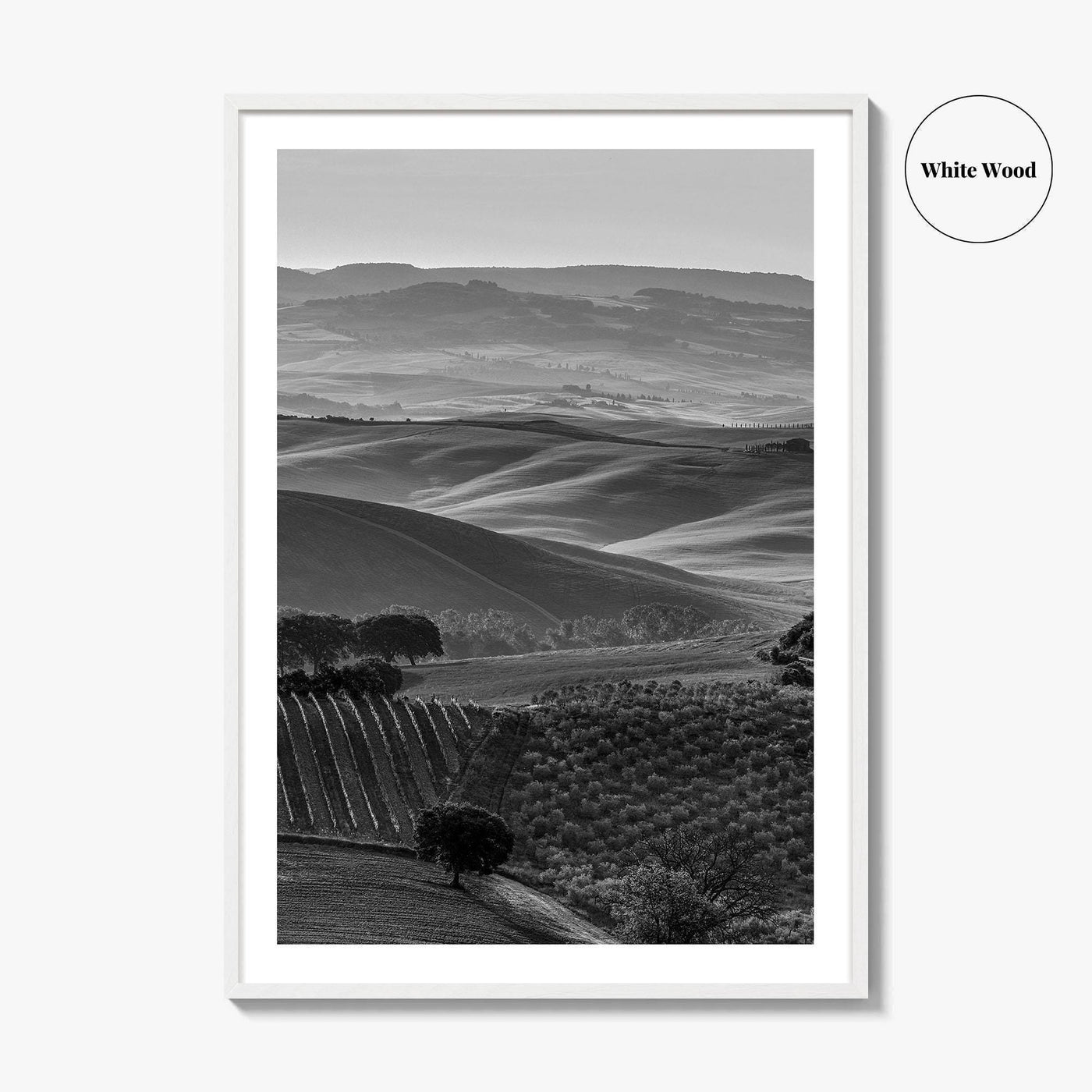 Tuscany Hills Black and White Fine Art Photo Print, Italy Landscape Wall Decor