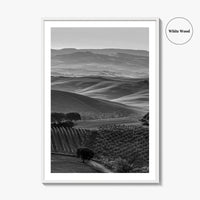 Tuscany Hills Black and White Fine Art Photo Print, Italy Landscape Wall Decor