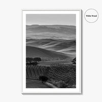 Tuscany Hills Black and White Fine Art Photo Print, Italy Landscape Wall Decor