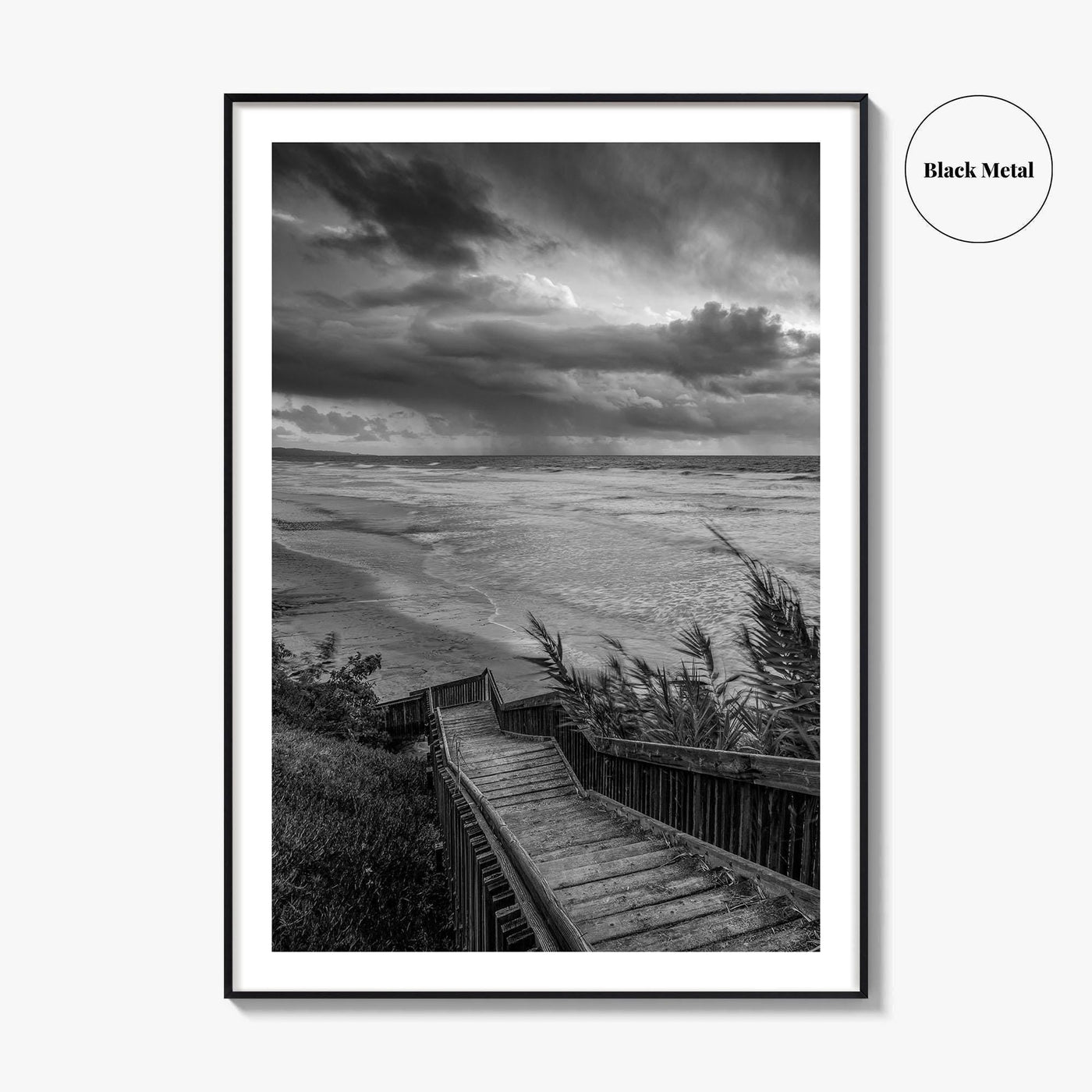 Encinitas Black and White Fine Art Photo Print, San Elijo State Beach, California Poster