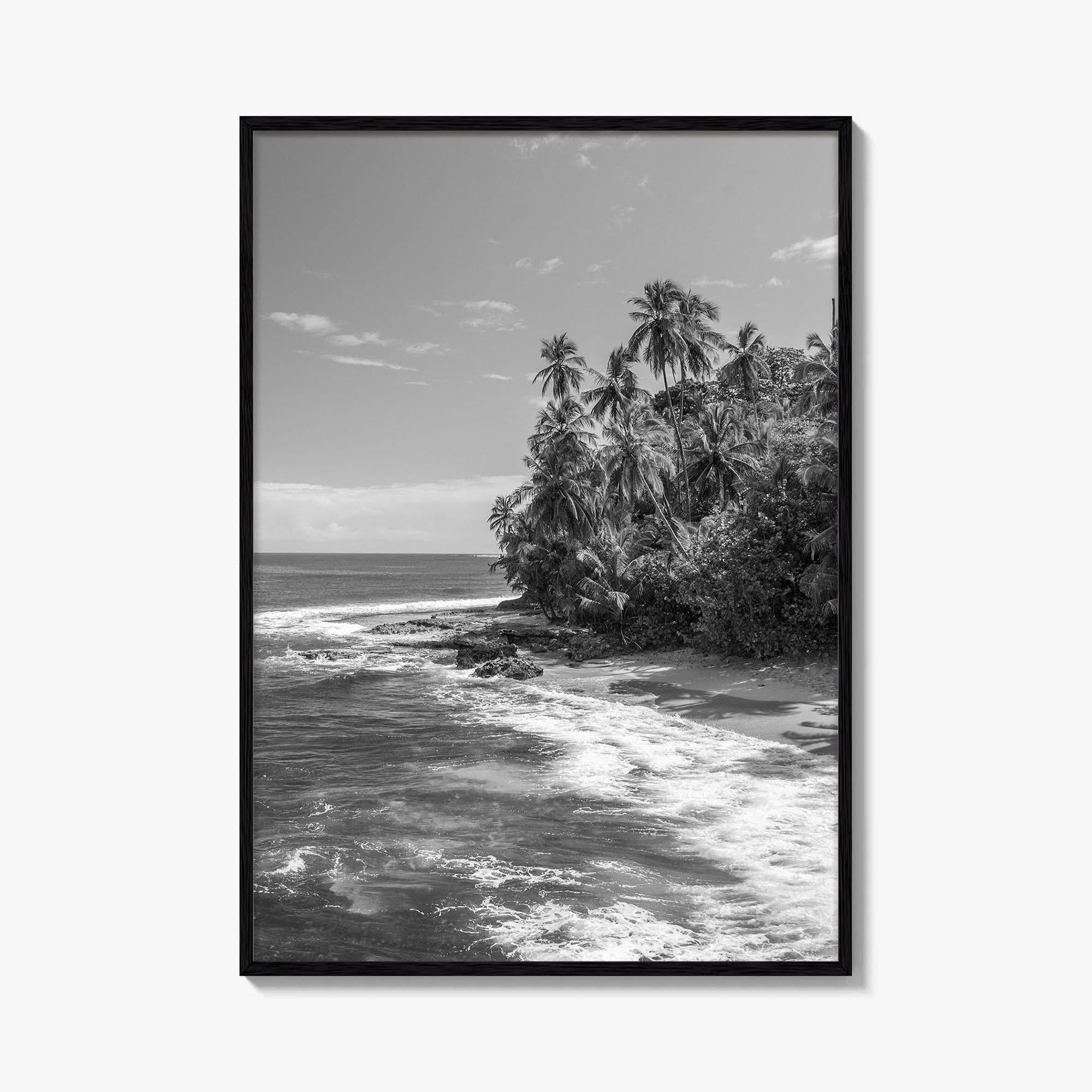 Costa Rica Black and White Fine Art Photo Print, Manzanillo Caribbean Puerto Viejo Poster