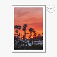 Encinitas Fine Art Photo Print, San Diego Palm Tree California Poster
