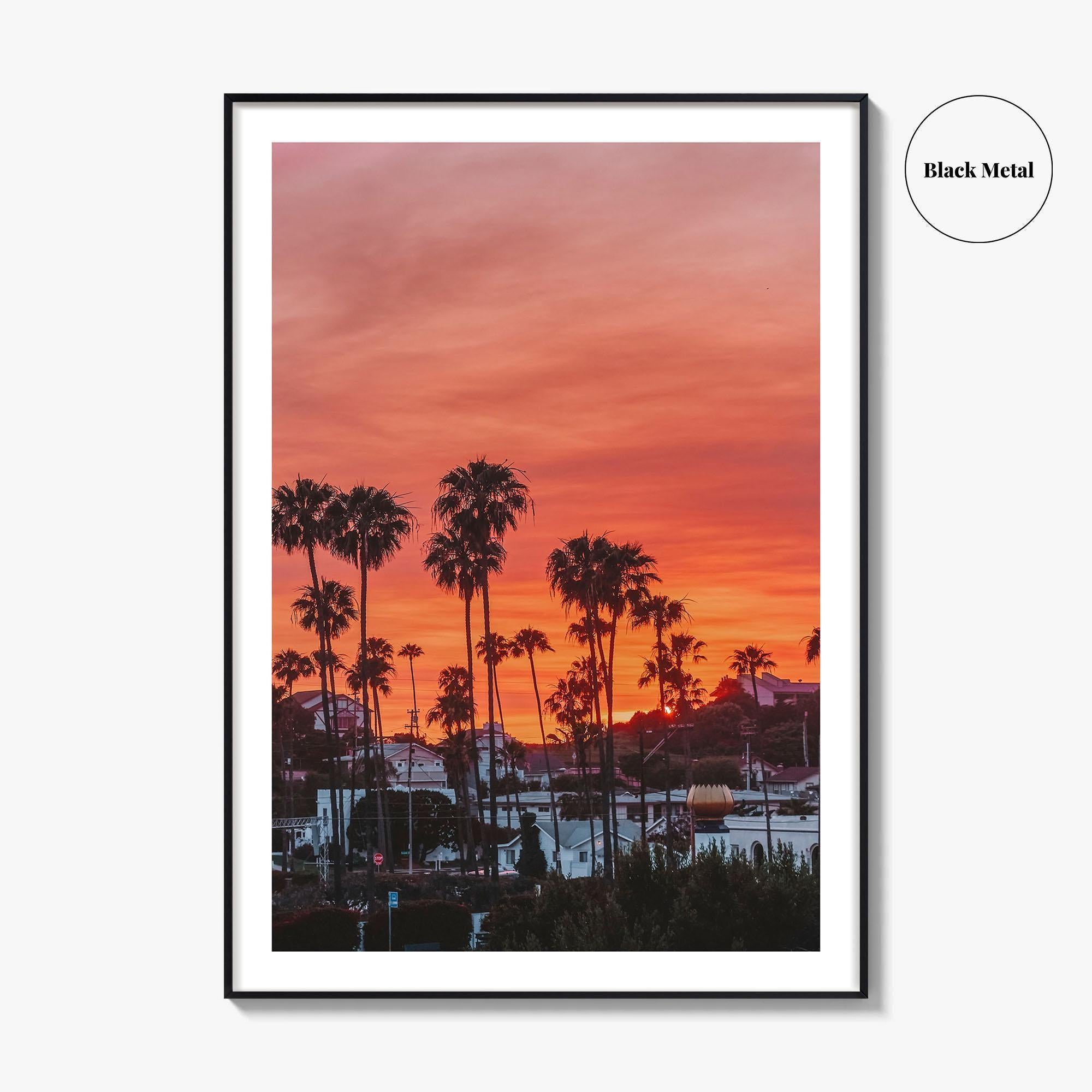 Encinitas Fine Art Photo Print, San Diego Palm Tree California Poster