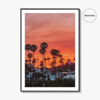 Encinitas Fine Art Photo Print, San Diego Palm Tree California Poster