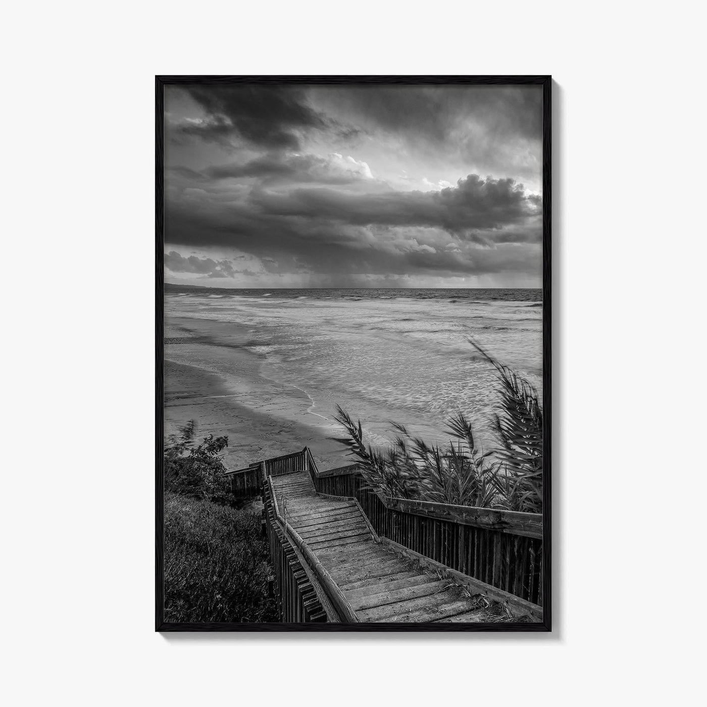 Encinitas Black and White Fine Art Photo Print, San Elijo State Beach, California Poster