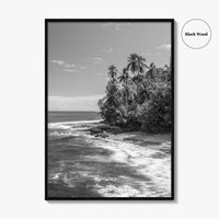 Costa Rica Black and White Fine Art Photo Print, Manzanillo Caribbean Puerto Viejo Poster