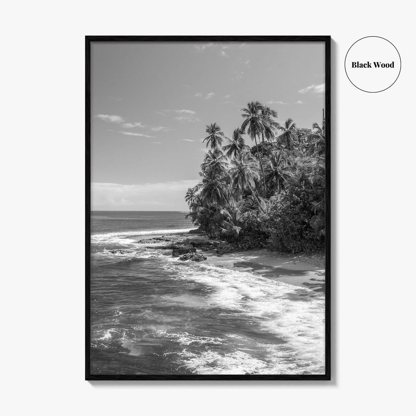 Costa Rica Black and White Fine Art Photo Print, Manzanillo Caribbean Puerto Viejo Poster