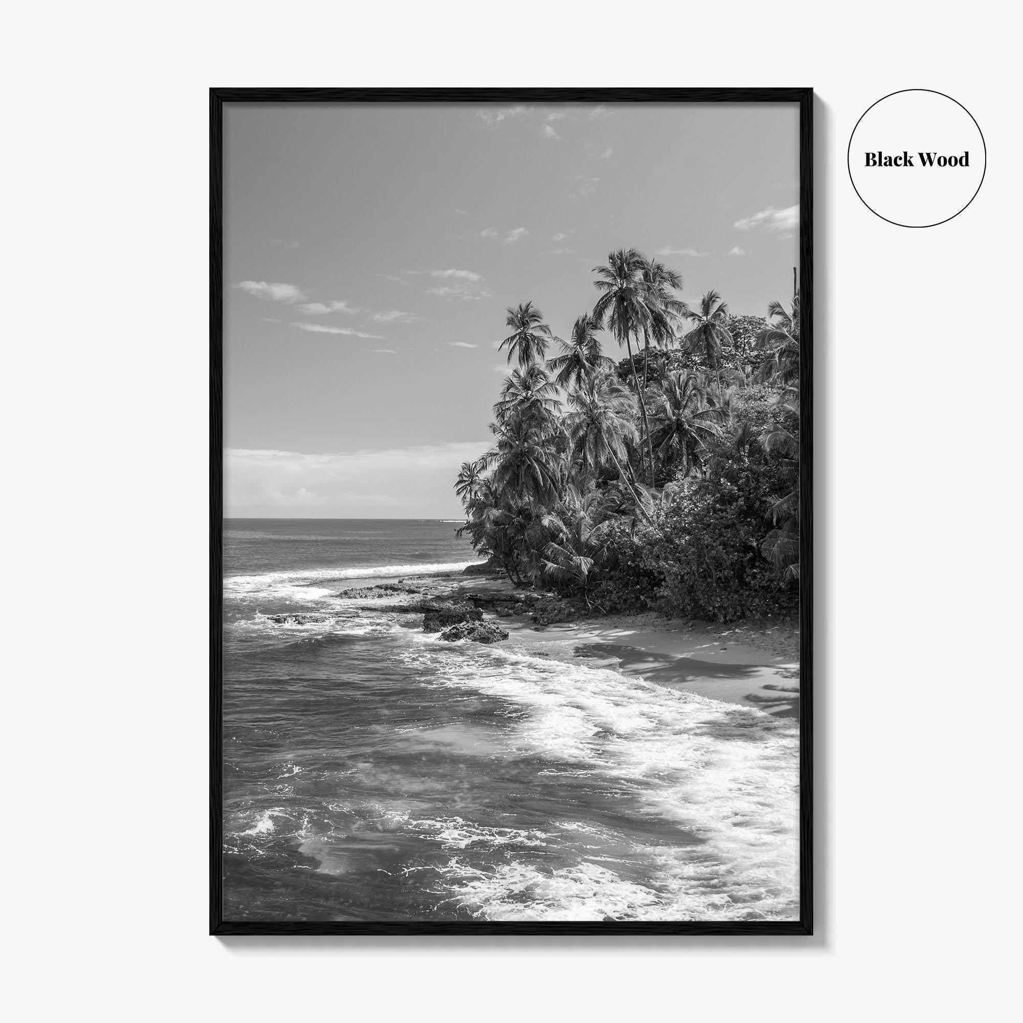 Costa Rica Black and White Fine Art Photo Print, Manzanillo Caribbean Puerto Viejo Poster